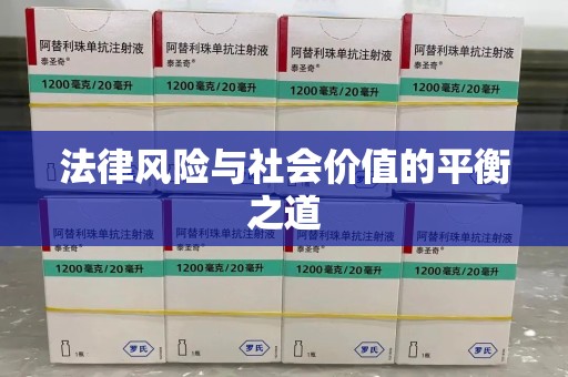 兰州法律风险与社会价值的平衡之道