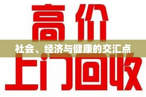 兰州社会、经济与健康的交汇点