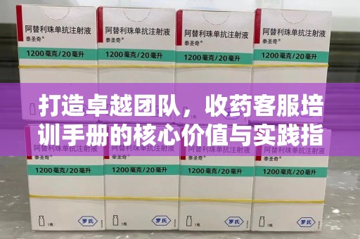 兰州打造卓越团队，收药客服培训手册的核心价值与实践指南