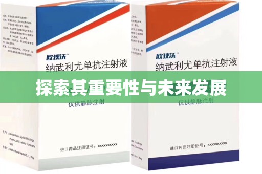 兰州探索其重要性与未来发展