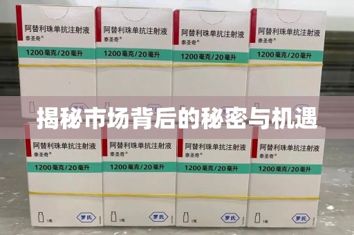 兰州揭秘市场背后的秘密与机遇
