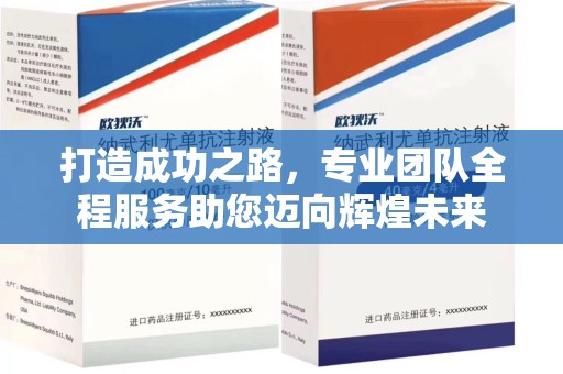 兰州打造成功之路，专业团队全程服务助您迈向辉煌未来