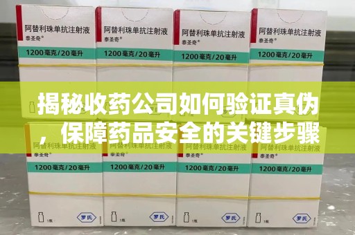 兰州揭秘收药公司如何验证真伪，保障药品安全的关键步骤