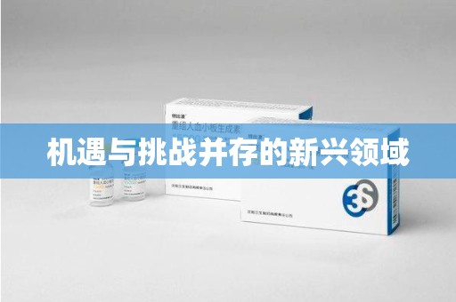 兰州机遇与挑战并存的新兴领域