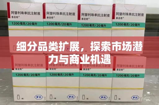 兰州细分品类扩展，探索市场潜力与商业机遇