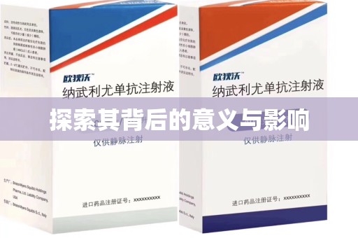 兰州探索其背后的意义与影响