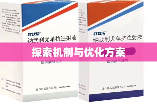 兰州探索机制与优化方案